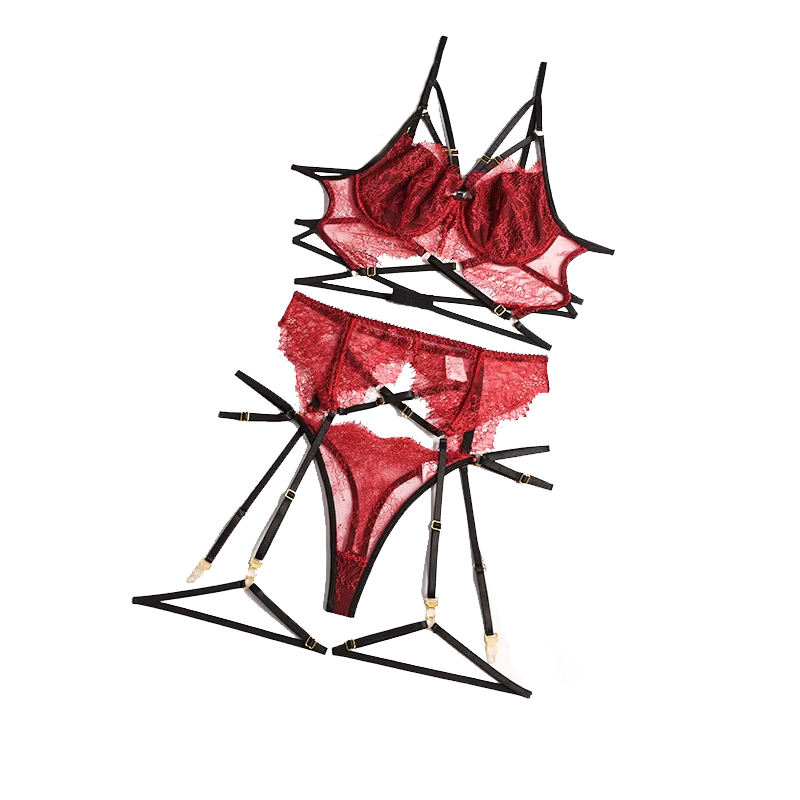 Sexy Lace Lingerie Set, Roupa  - Lace Bralette Set avaliação e preço